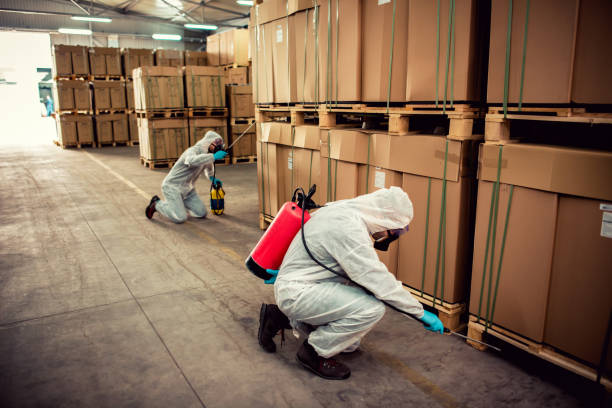 Best Local Pest Control Services  in Evans, CO