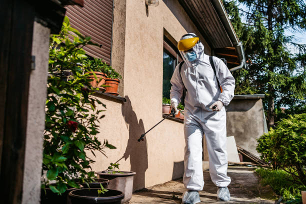 Professional Pest Control in Evans, CO