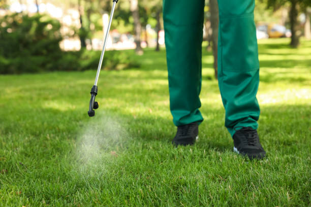 Reliable Evans, CO Pest Control Solutions