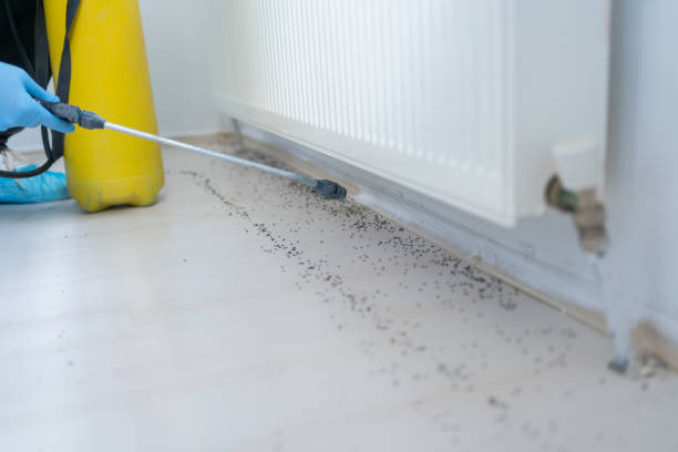  Evans, CO Pest Control Pros