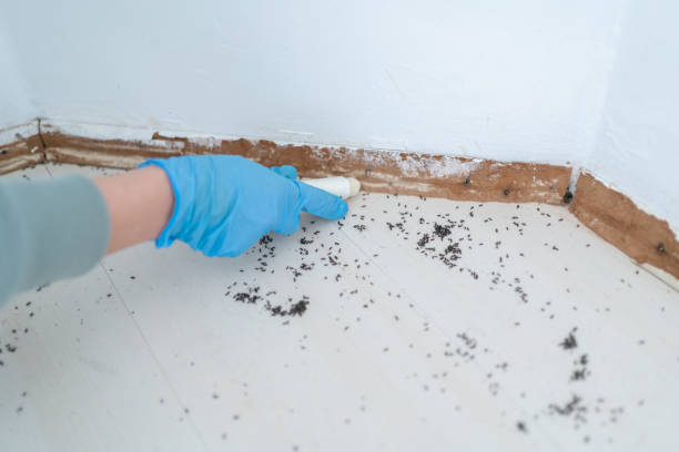 Best Commercial Pest Control Services  in Evans, CO